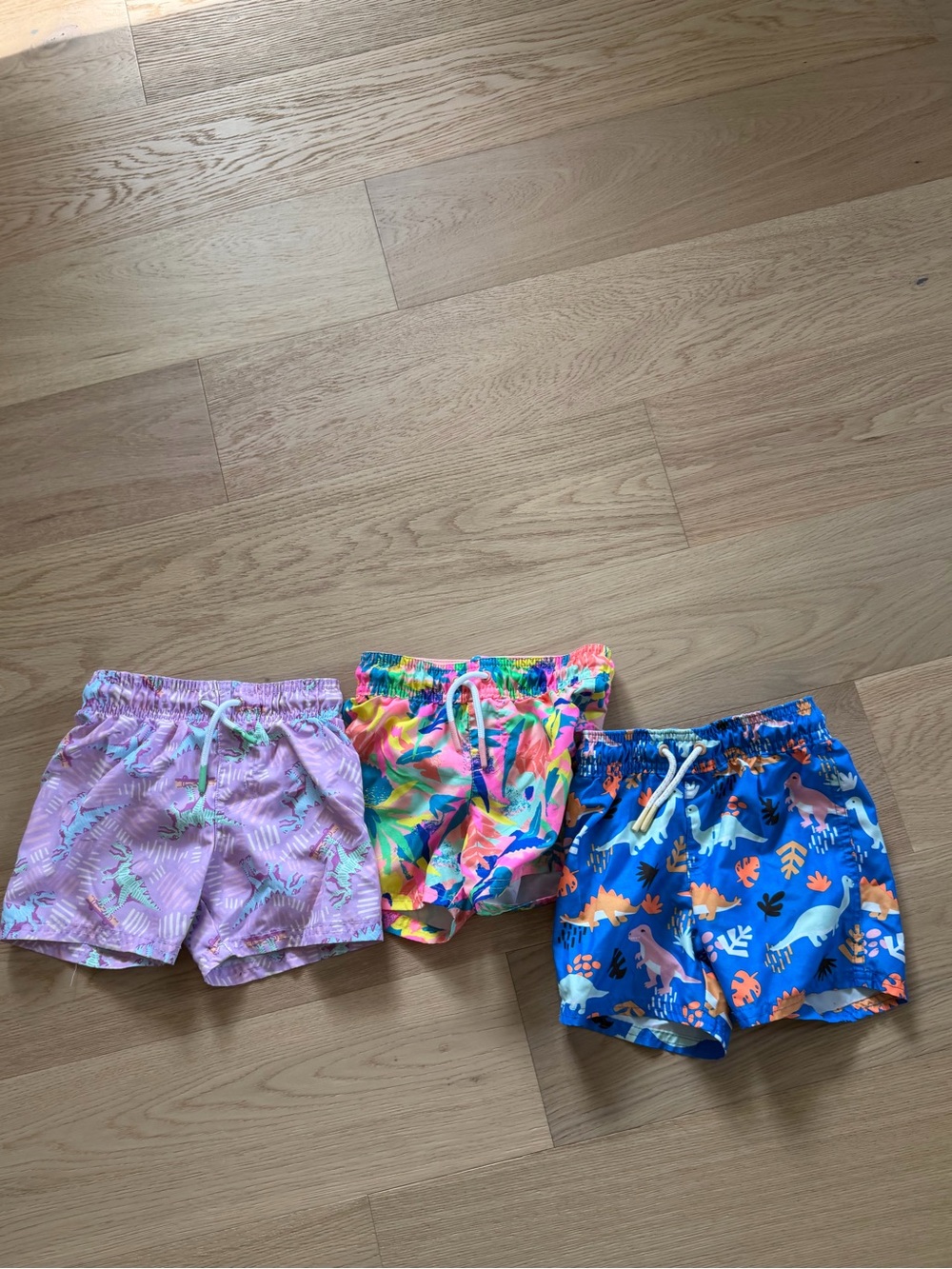 Bundle of boys 2T bathing suits